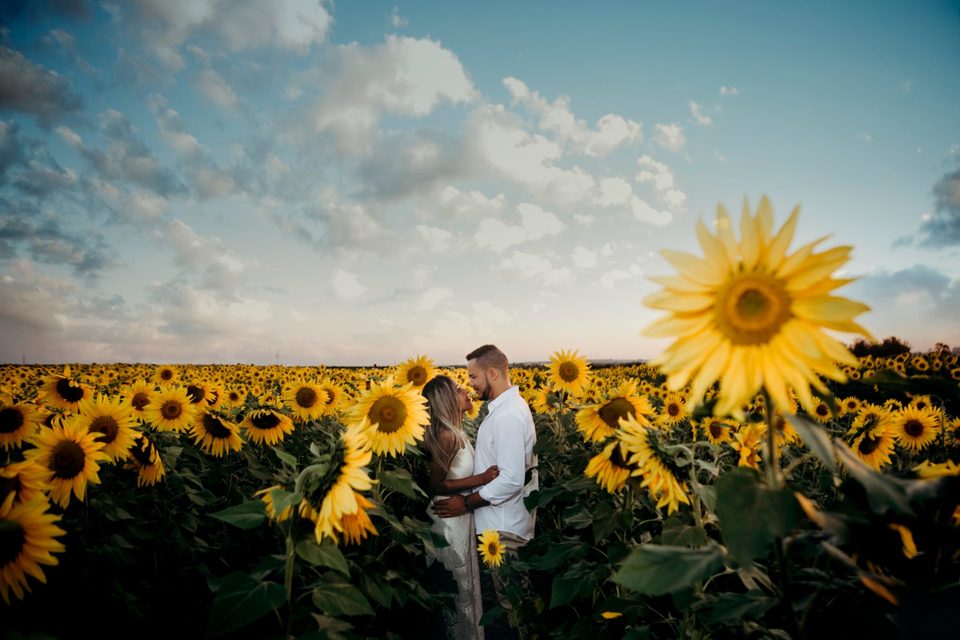 Laiane e Arnaldo - Holambra 